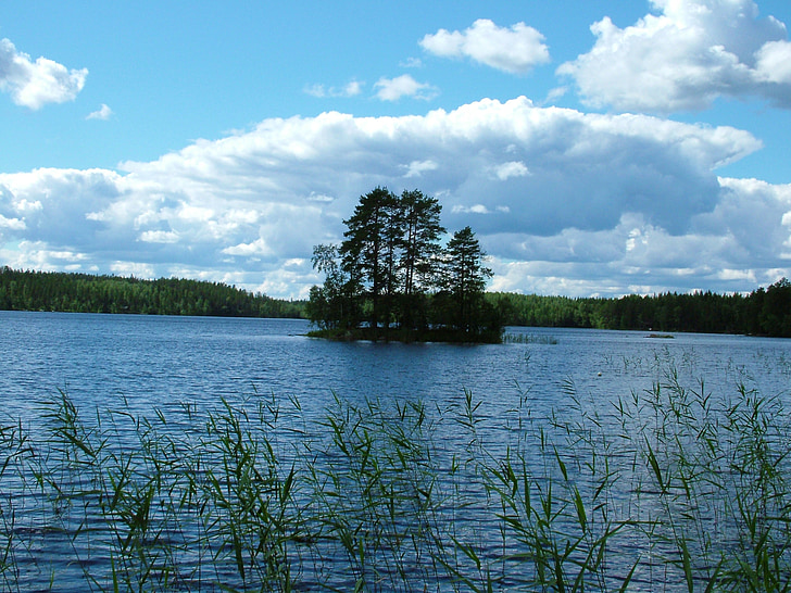 jezero, Otok, mali, stabla, finski, trska, nebo