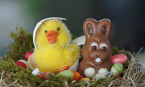 húsvéti fészek, Húsvét, húsvéti tojás, tojás, Kellemes húsvéti ünnepeket, Star, csajok