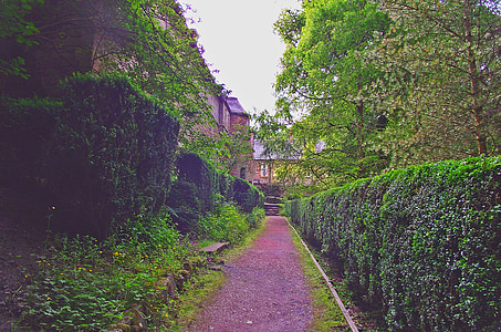 doyen, Château, Kilmarnock, historique, écossais, Ecosse