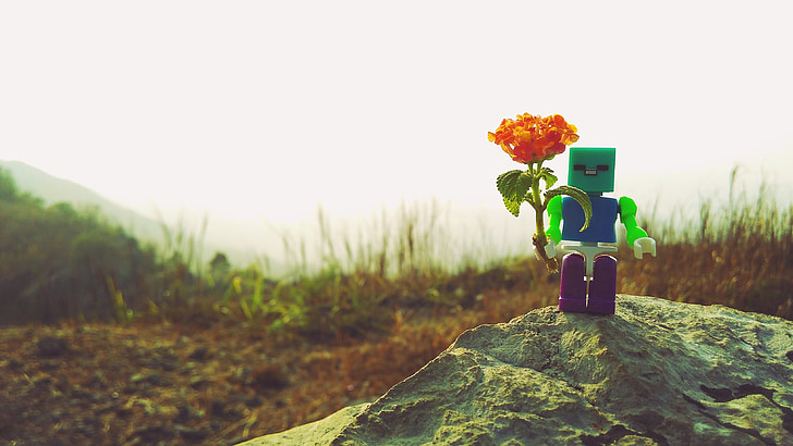 Jucarii, LEGO, peisaj, floare