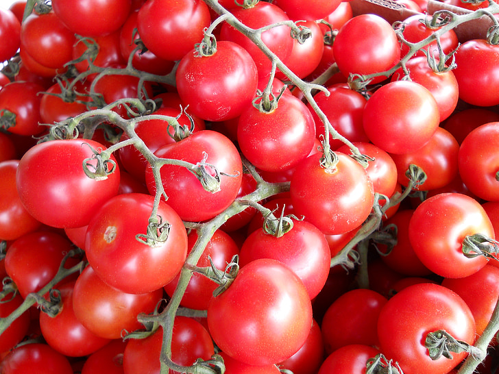 tomate, vermelho, videira, comida, vegetal, saudável, fresco