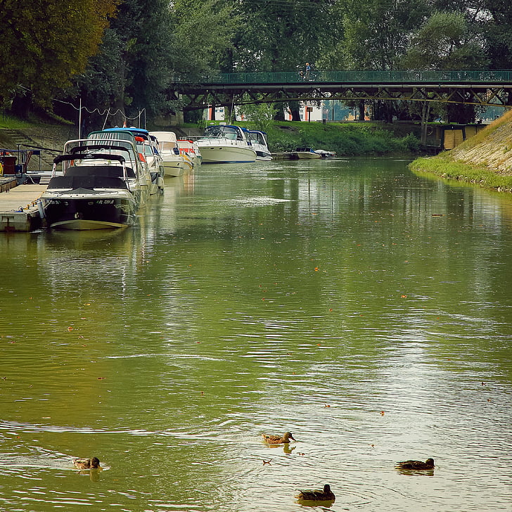 groen, brug, schepen, Creek, Esztergom