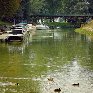 grön, Bridge, fartyg, Creek, Esztergom