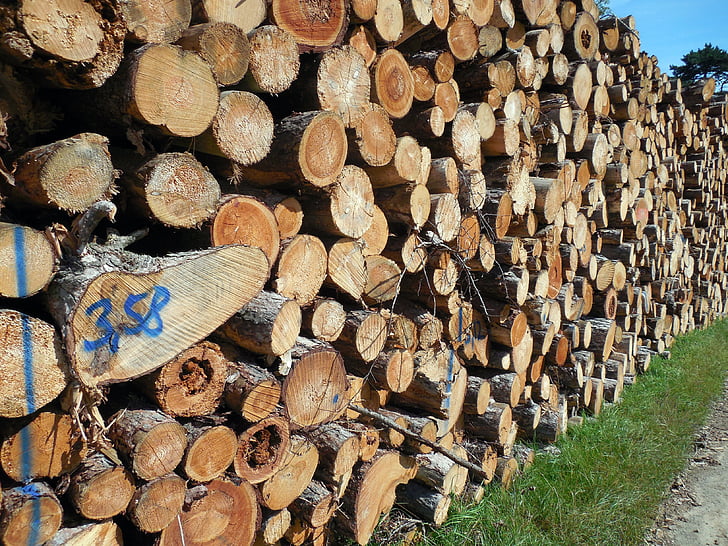 drevo, kmene stromov, lesné hospodárstvo, Denník, drevospracujúci priemysel, znížiť, holzstapel