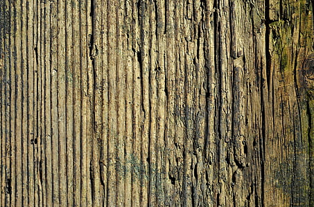 drvo, odbora, tekstura, u pozadini, drveni, staklenke, struktura na