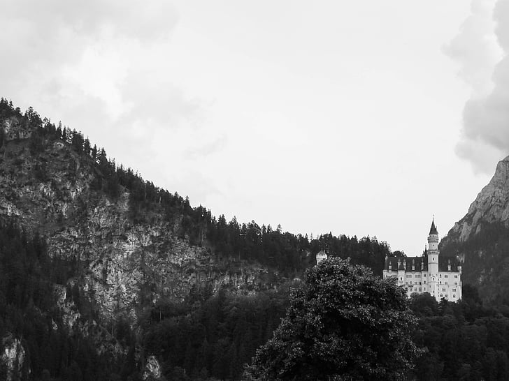 scala di grigi, Foto, Castello, In alto, Alpine, Castello di Neuschwanstein, Baviera
