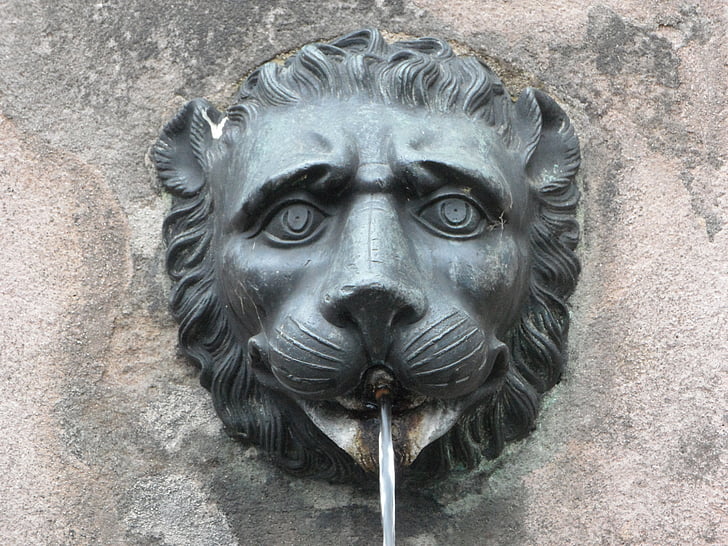 Gargoyle, fontän, lejon, lejonhuvud, huvud, vattenstråle, spotta