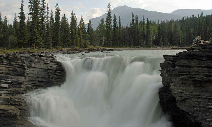 athabasca falls, waterfall, landscape, canadian rockies, scenic, mountain, white water