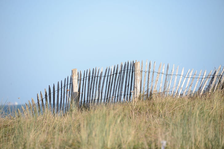 fermeture, dune, protection, mer, sable, herbe, plage
