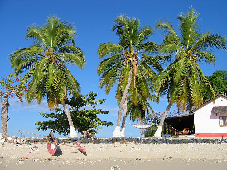 madagascar, canoe, fisherman, beach, sea, tropical, coconut