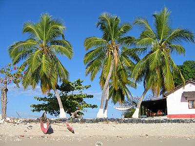 Madagaskar, kanootti, kalastaja, Beach, Sea, Tropical, kookos
