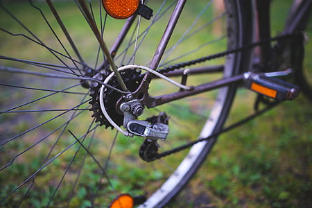 bike, bicycle, derailleur, wheel, spokes, cycling, ride