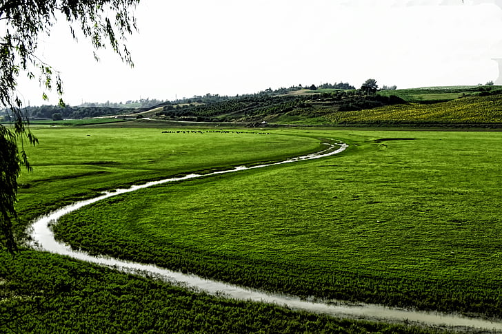 пейзаж, Грийн, JPEG, природата, селски сцена, на открито, трева