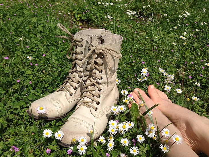 靴, フィート, 花, デイジー, 夏, 春, 草原