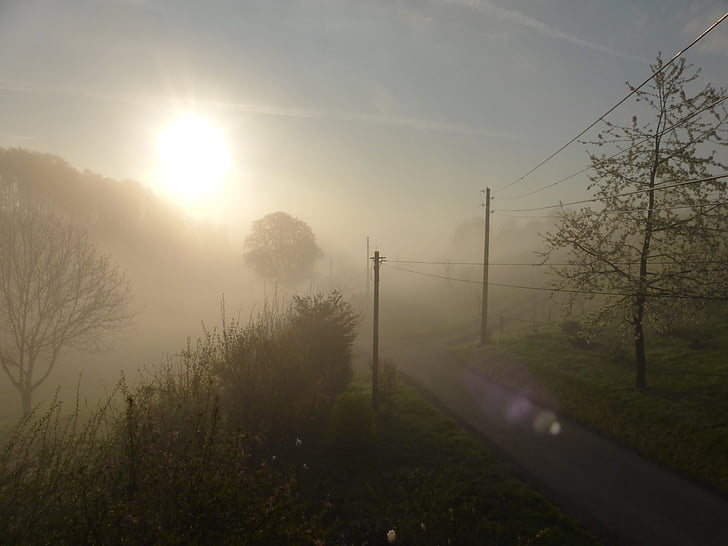 Alba, nebbia, mattina