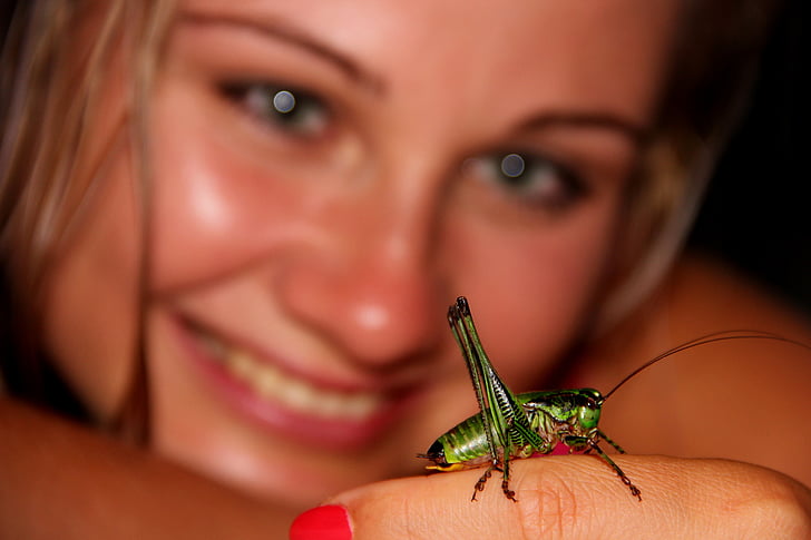 grasshopper, beetle, green, insect, girl, friendship, one animal