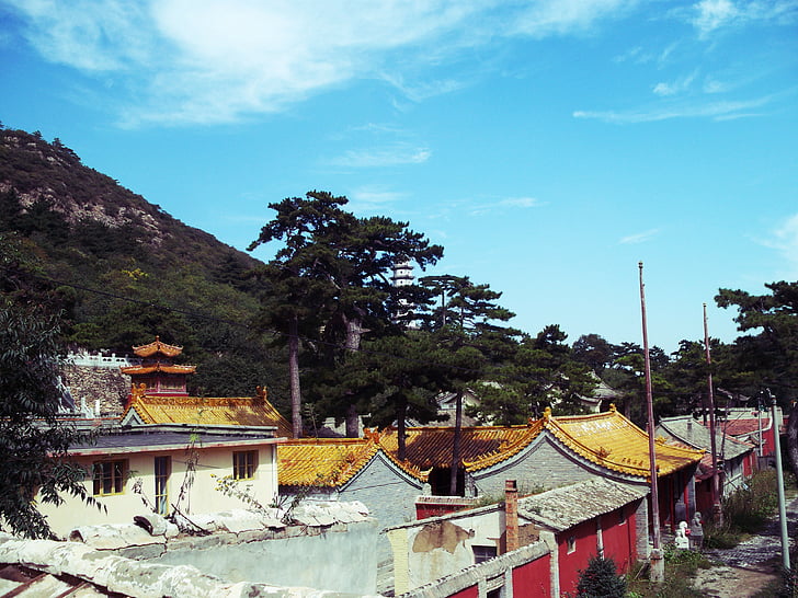 qingliangsi, samostan, kulise, budizem, vere, gorskih, drevo