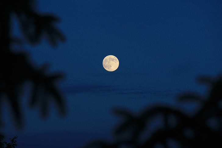 månen, natt, full, mørk, himmelen, Lunar