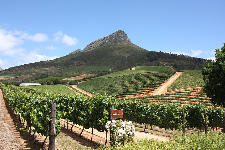 delaire граф, Weingut delaire граф, Южна Африка, тип, винарска изба, пейзаж, Туризъм