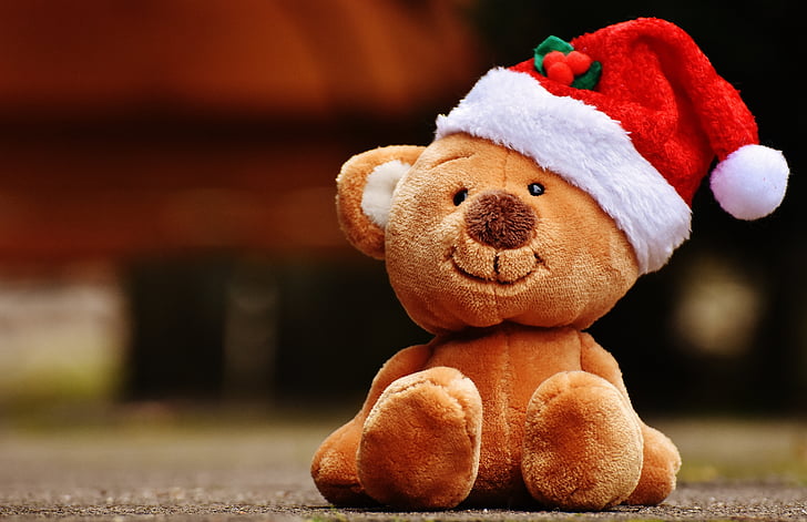 Navidad, Teddy, juguete de peluche, sombrero de Santa, gracioso, oso de peluche, galleta