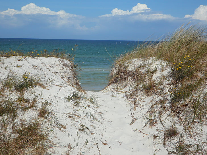 dune, sand, sea, dune ridge, path