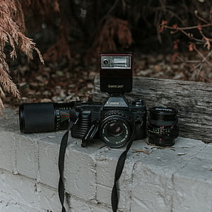 camera, canon, vintage, lens, flash, bricks, leaves