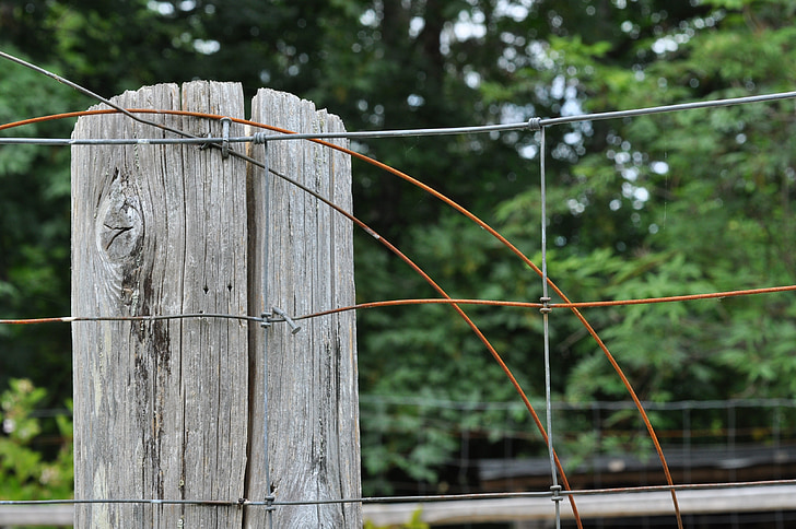 wood, fence, fencing, wooden, farm, post, rough
