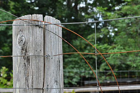 wood, fence, fencing, wooden, farm, post, rough