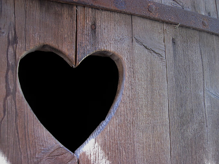 heart, wood, door, wooden structure, heart in the wood, board, hole