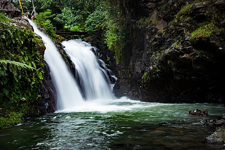 vattenfall, naturen, skogen, tropikerna, djungel, floden, Stream