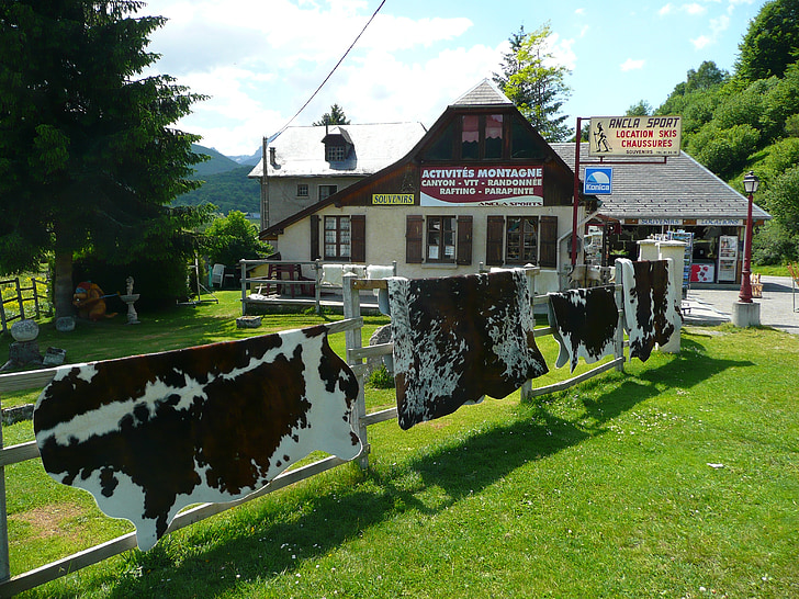 mountain, chalet, cow skins