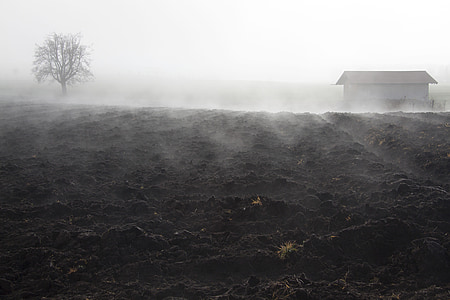brouillard, humeur, paysage, Banc de brume, jour de brouillard, novembre, terres arables