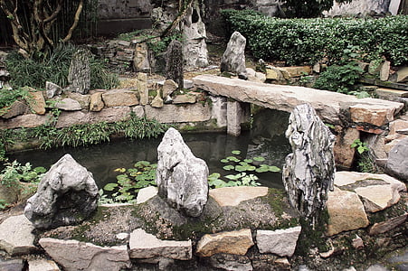 China, bacia do, meditação, Zen, água, Templo de, jardim