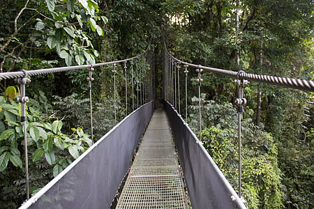 Most, deštný prales, Kostarika, zábradlí, provazový most, Most - člověče strukturu, Lávka