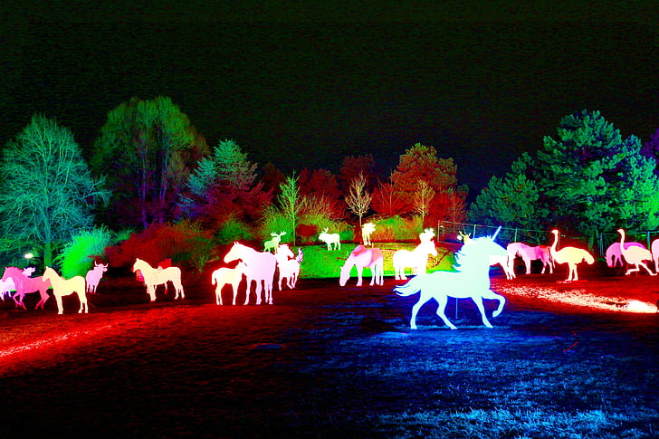 Westphalia park, musim dingin lampu 2013, foto malam