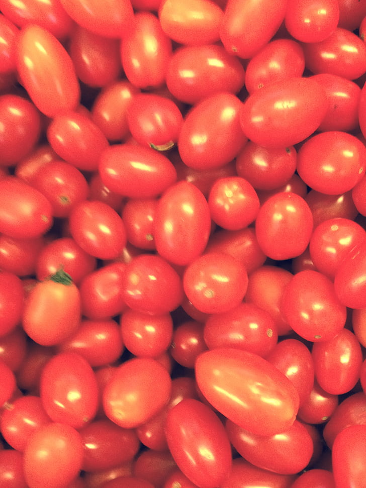 toidu, värske, taim, tomatid, köögiviljad, punane, taimne