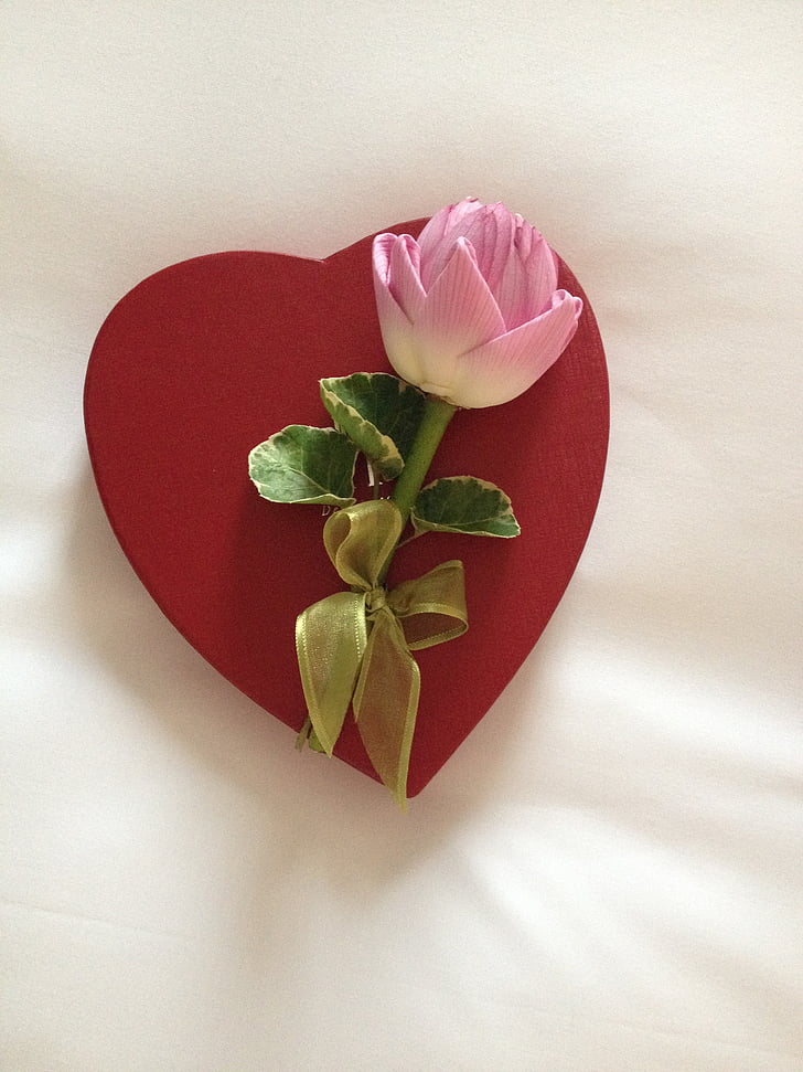 dulces, corazón, Lotus, flor de loto, San Valentín, compromiso, amor