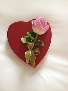 permen, jantung, Lotus, bunga teratai, Valentine, keterlibatan, Cinta