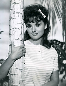 dawn wells, actress, television, series, gilligans island, hollywood, comedy