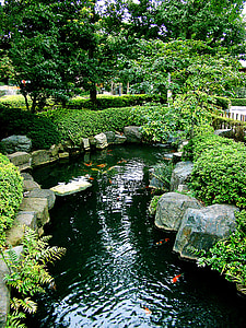 Japón, Tokio, Asakusa, Koi, jardín, Asia, estanque