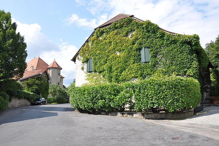 Laconnex, falu, Genf, Borostyán, ház, kúszó növény