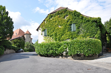 Laconnex, kaimas, Ženeva, gebenė, namas, vijoklinis augalas
