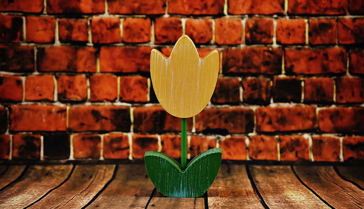 květ, Tulipán, dřevo, barevné, jaro, Příroda, Cihlová zeď