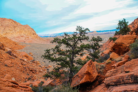Utah, rocas rojas, rojo, nacional, Parque, Estados Unidos, desierto