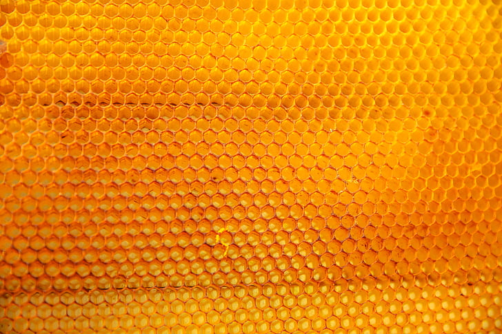 geel, natuur, bijen, honing, Honingraat