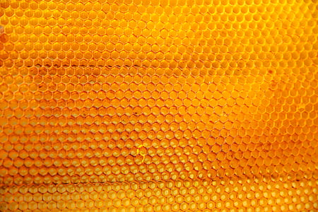 żółty, Natura, pszczoły, miód, plaster miodu
