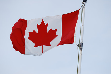 Bandierina del Canada, foglia di acero, bandiera, bandiera canadese