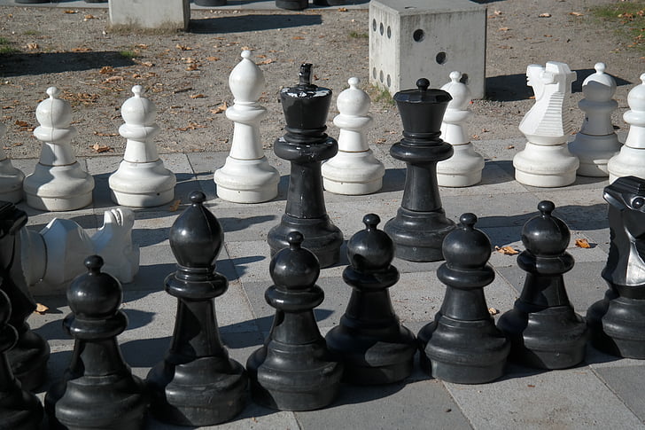chess, chess board, chess pieces, black, white, chess game, play