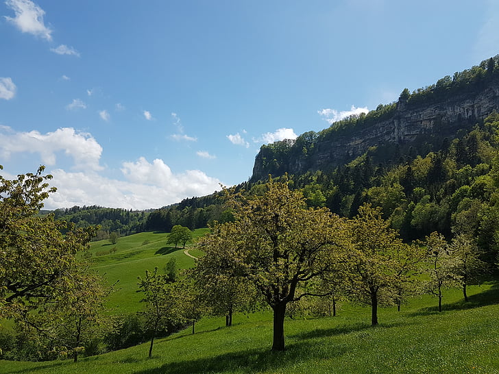 Švica, Basel-zemljišča, eptingen, narave, pohodništvo, gozd, travnik
