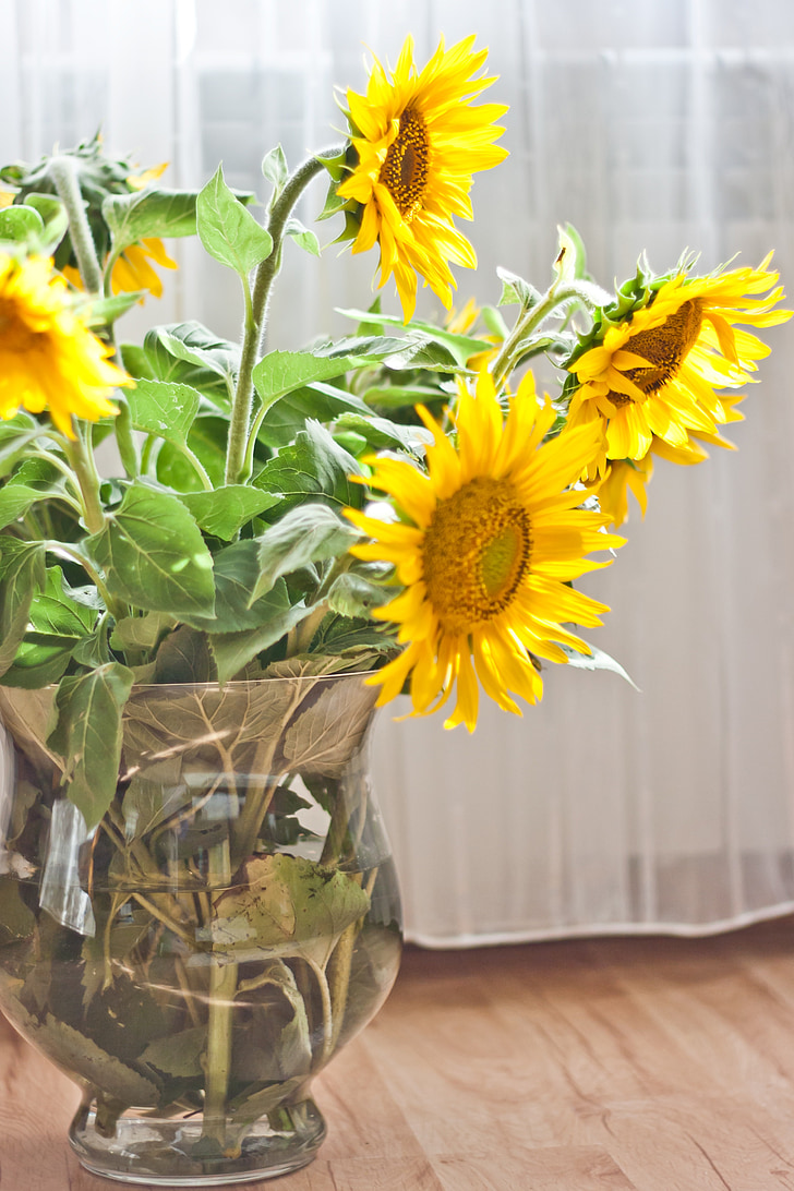 слънчоглед, ваза, жълто, цвете, цветя, растителна, букет